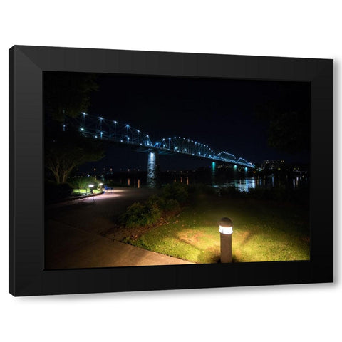 Walnut and Path Night Black Modern Wood Framed Art Print by Lee, Rachel
