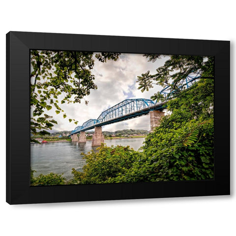 Walnut From South Black Modern Wood Framed Art Print with Double Matting by Lee, Rachel