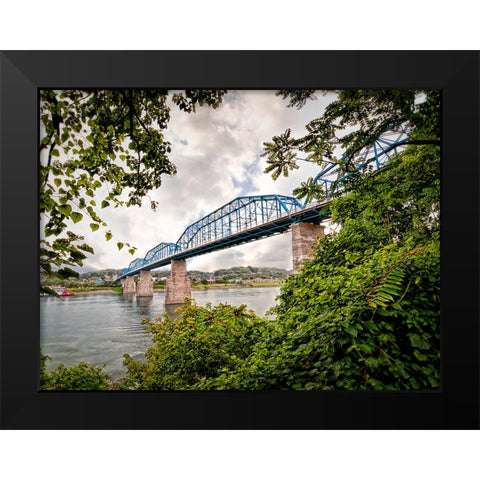 Walnut From South Black Modern Wood Framed Art Print by Lee, Rachel