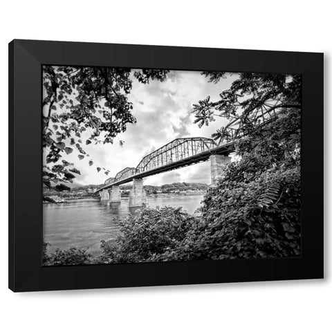 Walnut From South BW Black Modern Wood Framed Art Print with Double Matting by Lee, Rachel