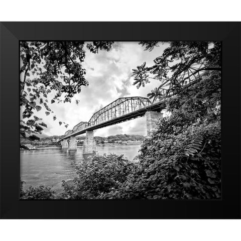 Walnut From South BW Black Modern Wood Framed Art Print by Lee, Rachel