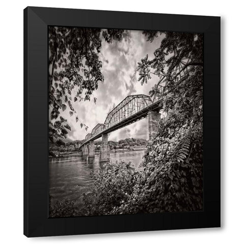 Walnut From South BW Rugged Black Modern Wood Framed Art Print with Double Matting by Lee, Rachel