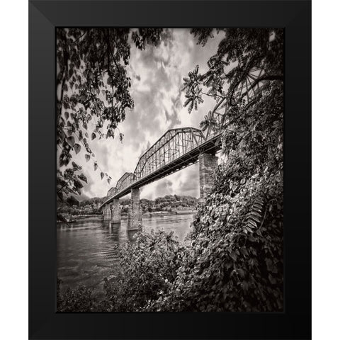 Walnut From South BW Rugged Black Modern Wood Framed Art Print by Lee, Rachel
