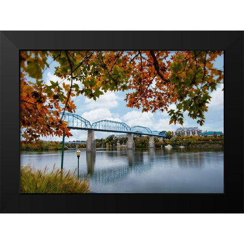 Walnut Leaves Black Modern Wood Framed Art Print by Lee, Rachel