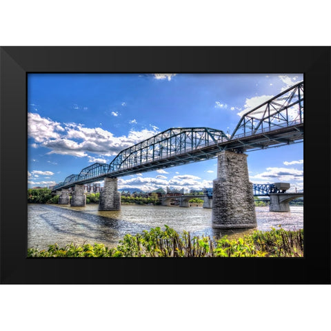 Walnut Left 2 HDR Black Modern Wood Framed Art Print by Lee, Rachel
