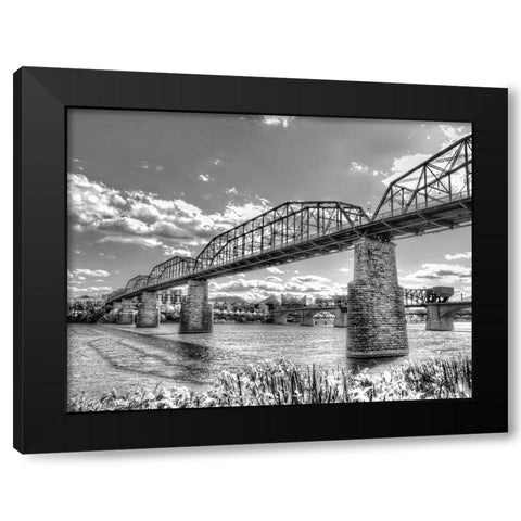 Walnut Left 2 HDR BW Black Modern Wood Framed Art Print with Double Matting by Lee, Rachel