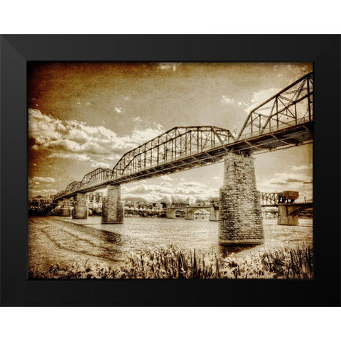 Walnut Left 2 HDR Textured Black Modern Wood Framed Art Print by Lee, Rachel