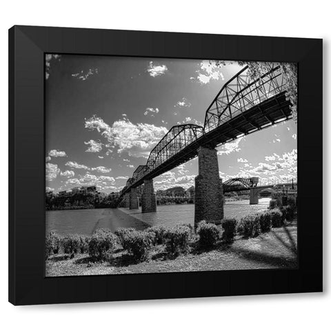 Walnut Left BW Black Modern Wood Framed Art Print with Double Matting by Lee, Rachel