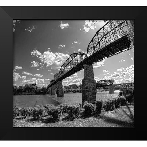 Walnut Left BW Black Modern Wood Framed Art Print by Lee, Rachel