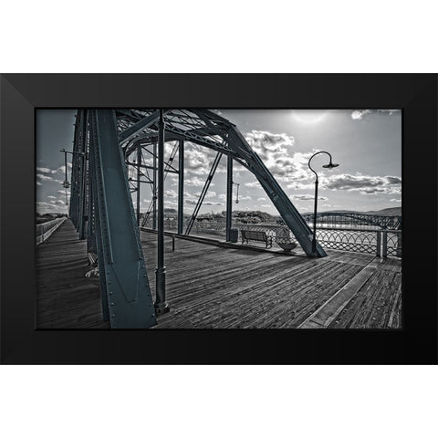 Walnut Sideview Lightwash Black Modern Wood Framed Art Print by Lee, Rachel