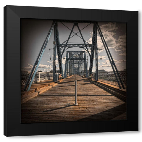 Walnut Walk Low Color Vignette Black Modern Wood Framed Art Print by Lee, Rachel