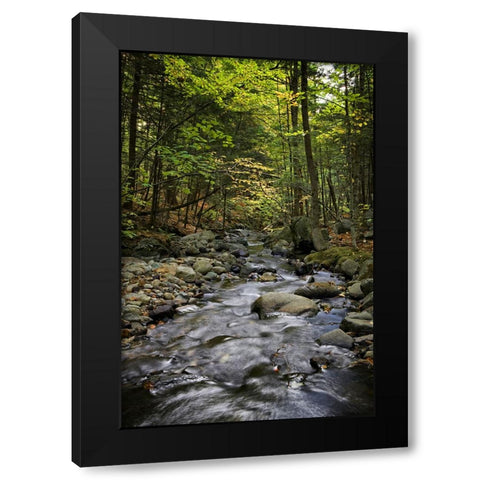 Waterfall 13 Black Modern Wood Framed Art Print with Double Matting by Lee, Rachel