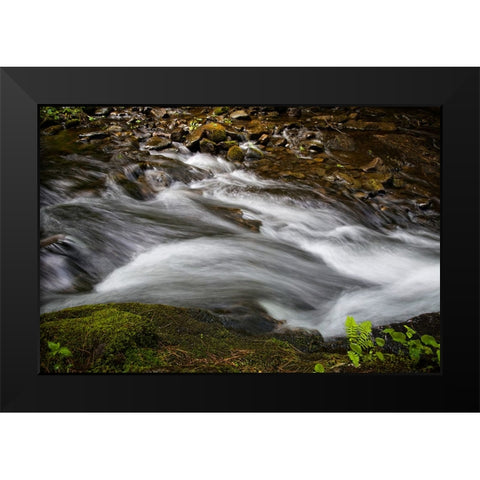 Waterfall 2 Black Modern Wood Framed Art Print by Lee, Rachel