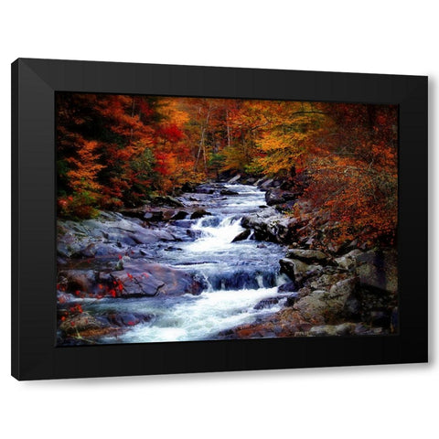 Waterfall 22 Black Modern Wood Framed Art Print with Double Matting by Lee, Rachel