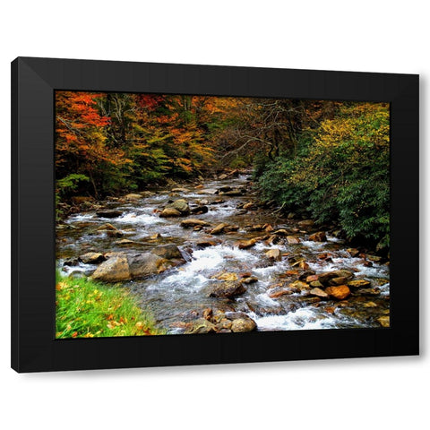 Waterfall 23 Black Modern Wood Framed Art Print by Lee, Rachel