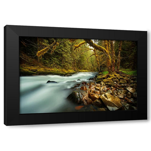Waterfall 24 Black Modern Wood Framed Art Print by Lee, Rachel