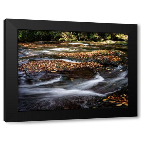 Waterfall 25 Black Modern Wood Framed Art Print by Lee, Rachel