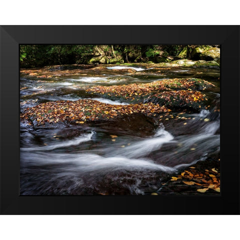 Waterfall 25 Black Modern Wood Framed Art Print by Lee, Rachel