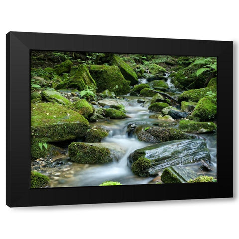 Waterfall 26 Black Modern Wood Framed Art Print with Double Matting by Lee, Rachel