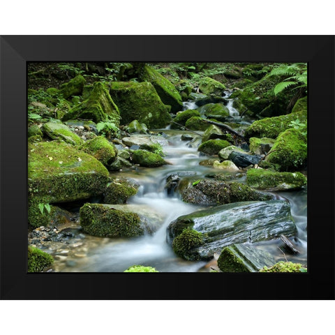 Waterfall 26 Black Modern Wood Framed Art Print by Lee, Rachel