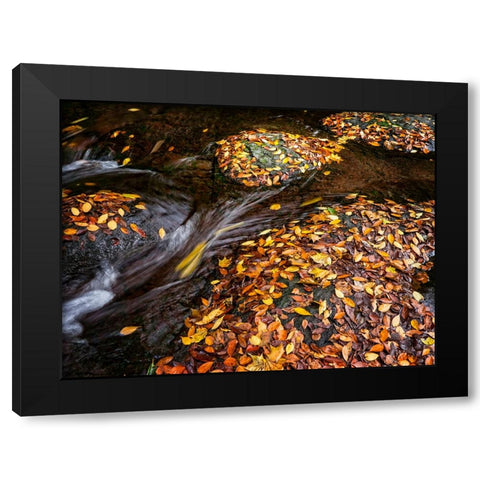 Waterfall 29 Black Modern Wood Framed Art Print with Double Matting by Lee, Rachel
