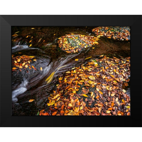 Waterfall 29 Black Modern Wood Framed Art Print by Lee, Rachel