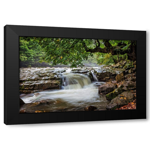 Waterfall 30 Black Modern Wood Framed Art Print with Double Matting by Lee, Rachel