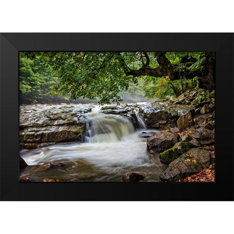 Waterfall 30 Black Modern Wood Framed Art Print by Lee, Rachel