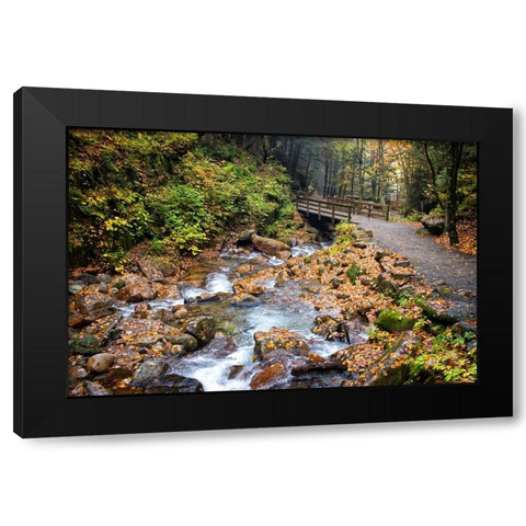 Waterfall And Walking Path Black Modern Wood Framed Art Print by Lee, Rachel