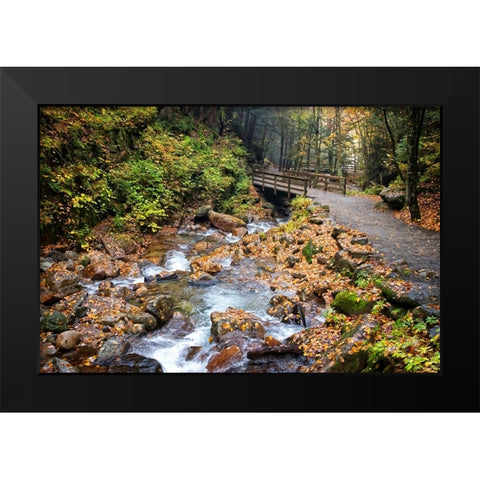 Waterfall And Walking Path Black Modern Wood Framed Art Print by Lee, Rachel