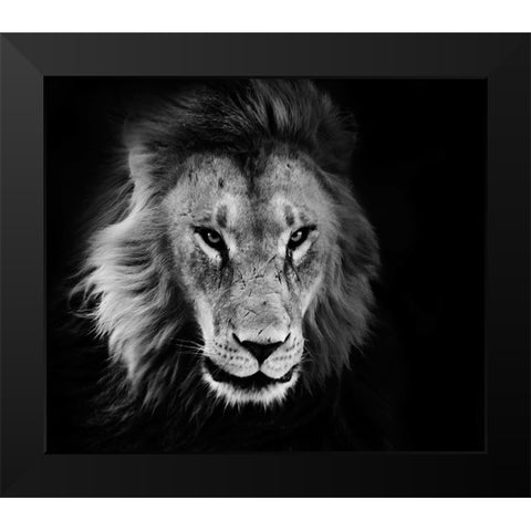 Wildlife 12 Black Modern Wood Framed Art Print by Lee, Rachel