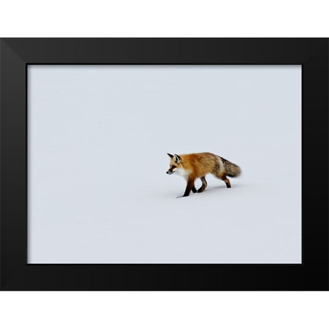 Wildlife 14 Black Modern Wood Framed Art Print by Lee, Rachel