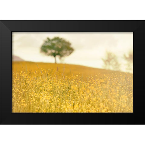 Yellow Meadow Black Modern Wood Framed Art Print by Lee, Rachel