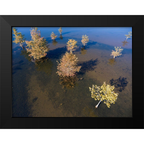 Fall Lake 2 Black Modern Wood Framed Art Print by Malone, Will