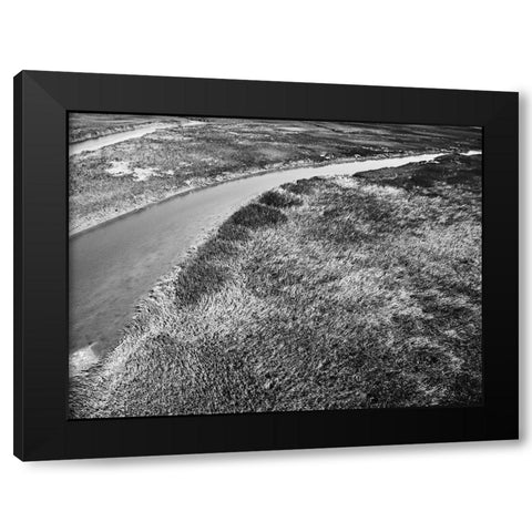 Monochrome Marsh Black Modern Wood Framed Art Print by Malone, Will