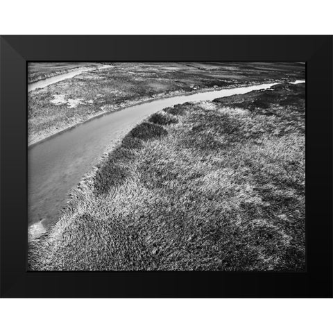 Monochrome Marsh Black Modern Wood Framed Art Print by Malone, Will