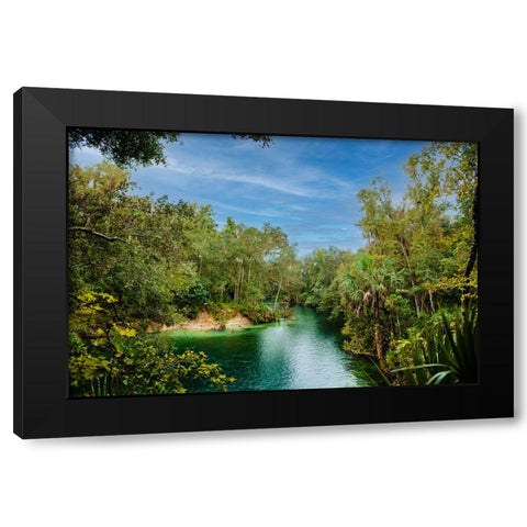 Blue Lagoon Black Modern Wood Framed Art Print by Malone, Will