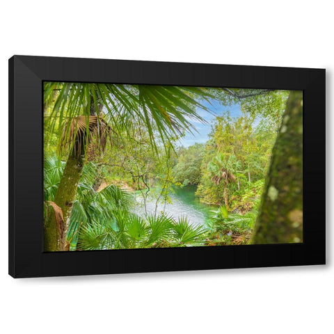 Blue Springs State Park 2 Black Modern Wood Framed Art Print by Malone, Will