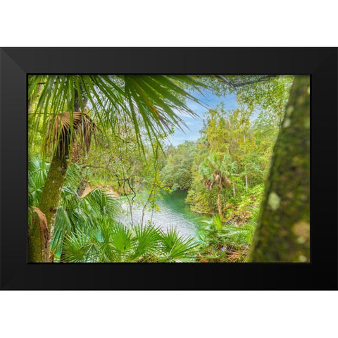 Blue Springs State Park 2 Black Modern Wood Framed Art Print by Malone, Will