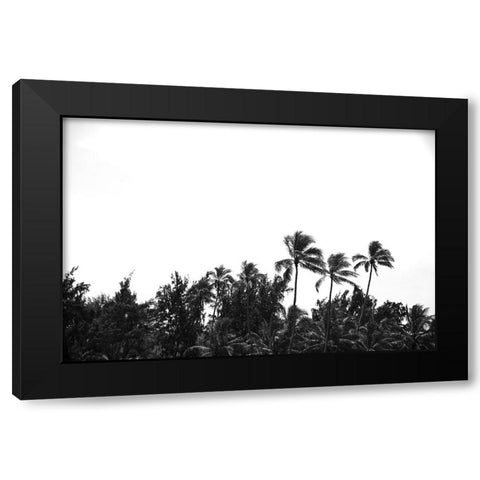 Lanikai Palms Black Modern Wood Framed Art Print with Double Matting by Malone, Will