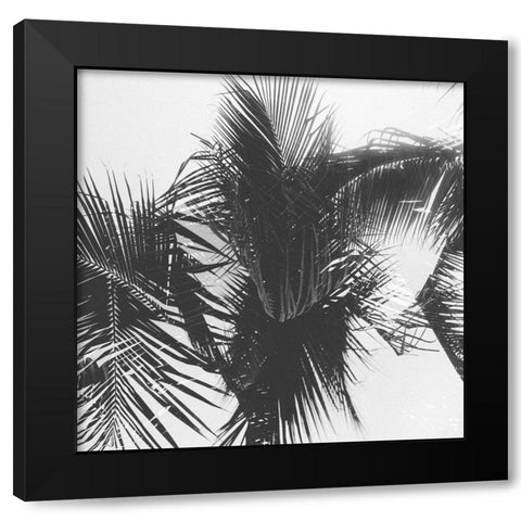 Palm 1 Black Modern Wood Framed Art Print by Malone, Will