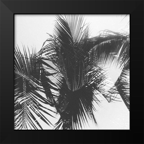 Palm 1 Black Modern Wood Framed Art Print by Malone, Will