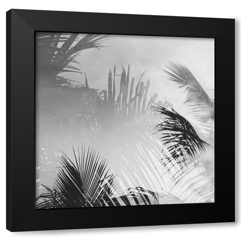 Palm 3 Black Modern Wood Framed Art Print by Malone, Will