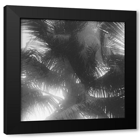 Palm 4 Black Modern Wood Framed Art Print by Malone, Will