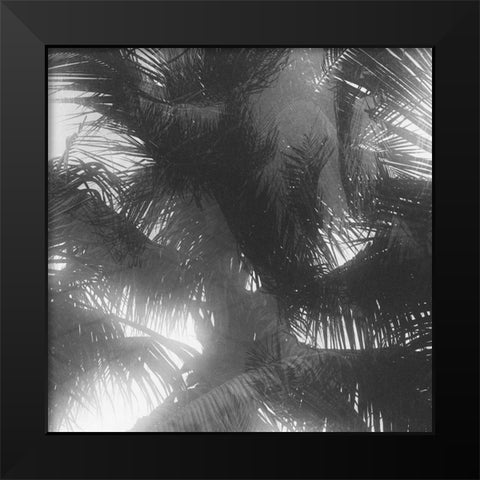 Palm 4 Black Modern Wood Framed Art Print by Malone, Will