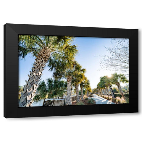 Palm Walk Black Modern Wood Framed Art Print with Double Matting by Malone, Will