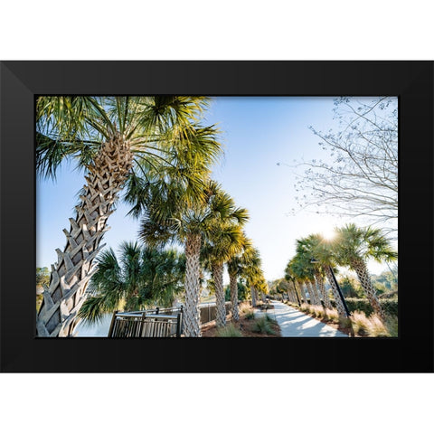 Palm Walk Black Modern Wood Framed Art Print by Malone, Will