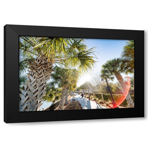 Palm Walk Sun Black Modern Wood Framed Art Print with Double Matting by Malone, Will