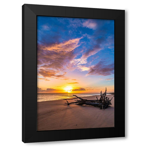 Rise Black Modern Wood Framed Art Print by Malone, Will