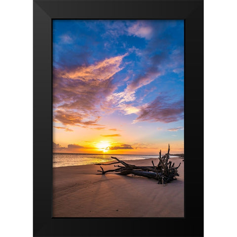 Rise Black Modern Wood Framed Art Print by Malone, Will